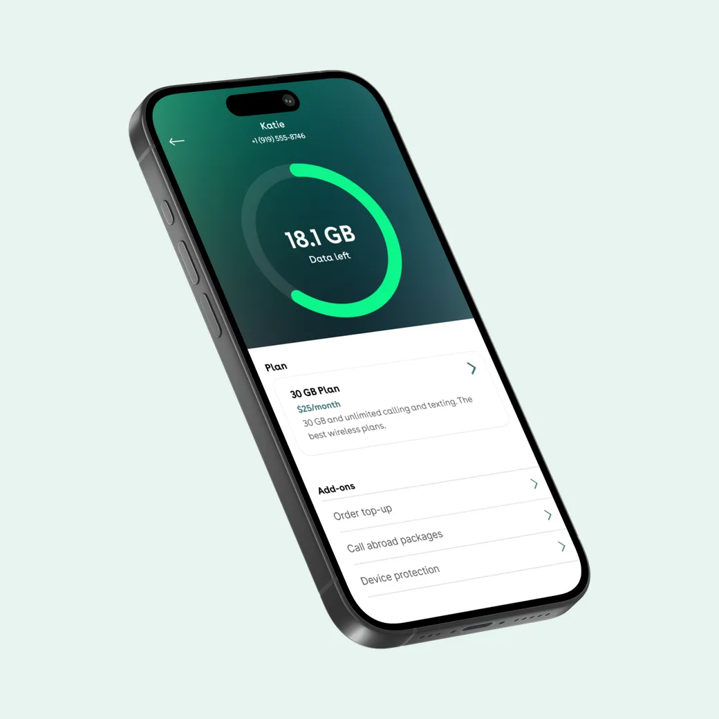 A subscriber's plan, data left and add-ons in the Seamless OS customer app